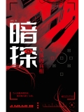暗探：失落的真相