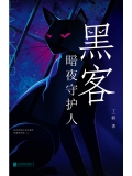 黑客：暗夜守护人