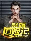 赘婿历险记