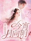 今宵月向明