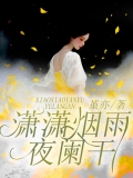 潇潇烟雨夜阑干