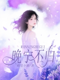 晚宁不归
