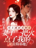 男主播想看烟花，妻子一把火点了我的流浪狗基地
