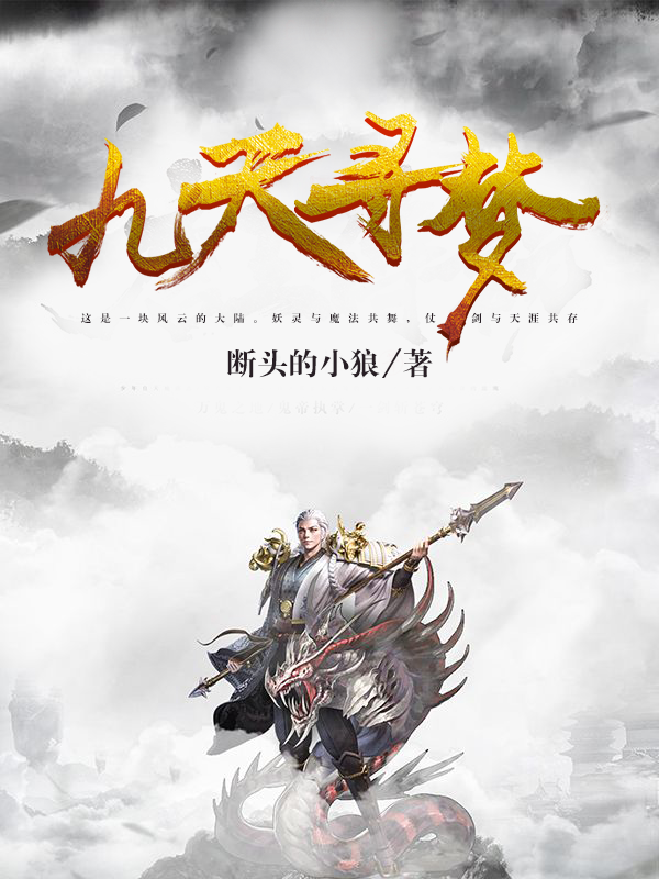 九天寻梦