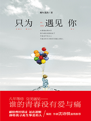 只为遇见你
