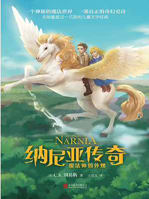 魔法师的外甥